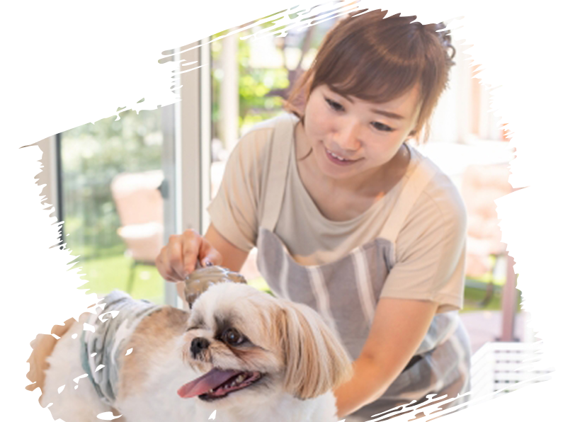 トリミングサロン
